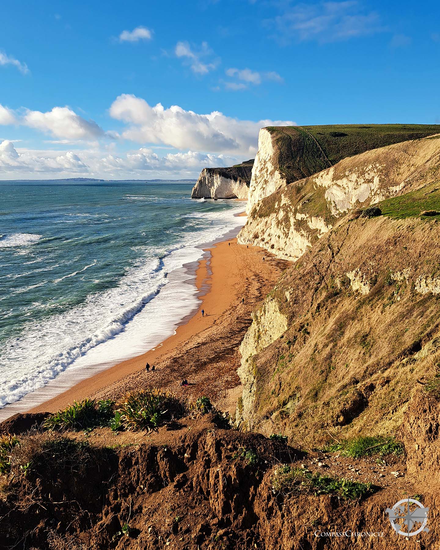 The Real Jurassic Park: Geology field course along the south coast of  England (TESC 417)
