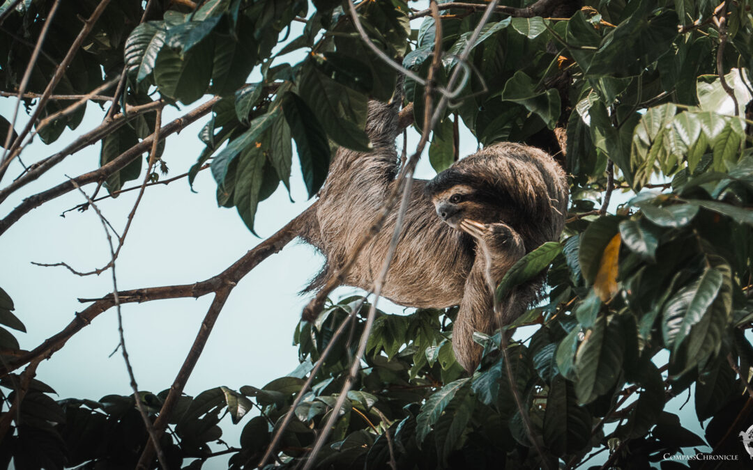 Nationalpark Cahuita