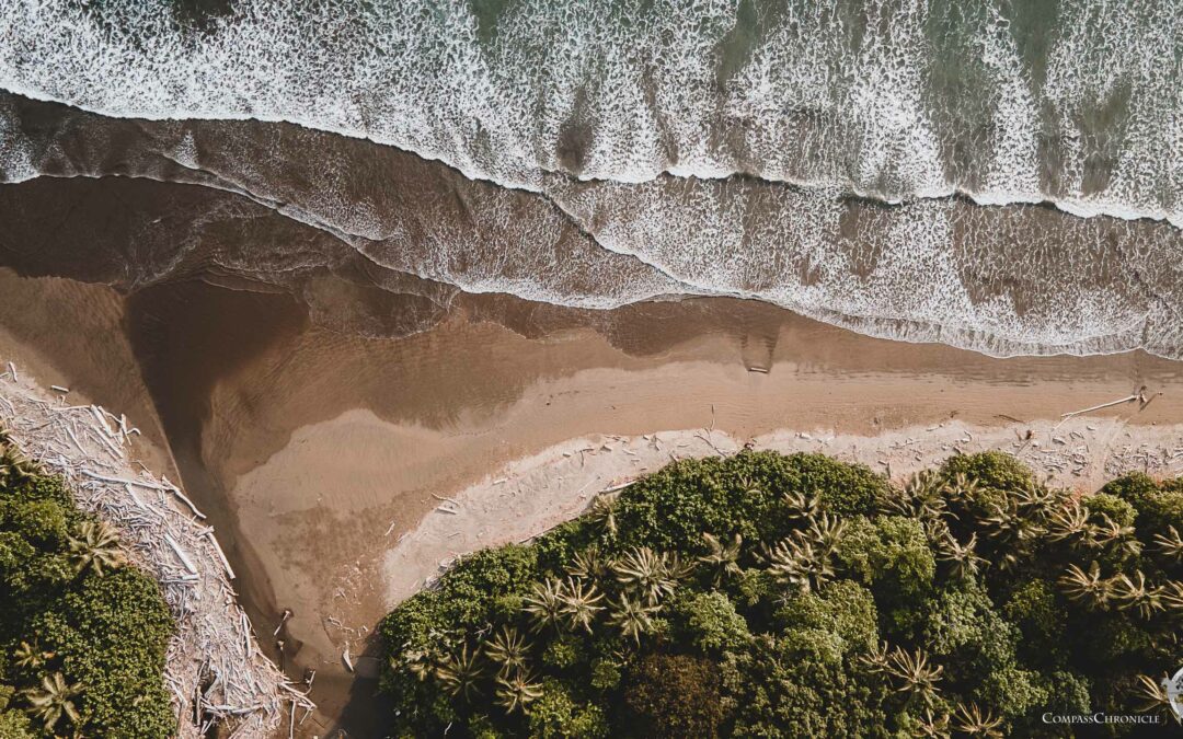 Nationalpark Marino Ballena und Whale Watching