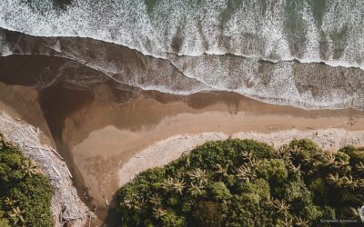 Marino Ballena National Park and whale watching