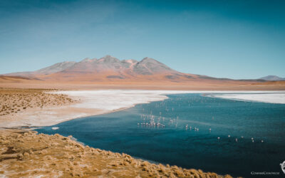 Lagoon route in the Altiplano of Bolivia