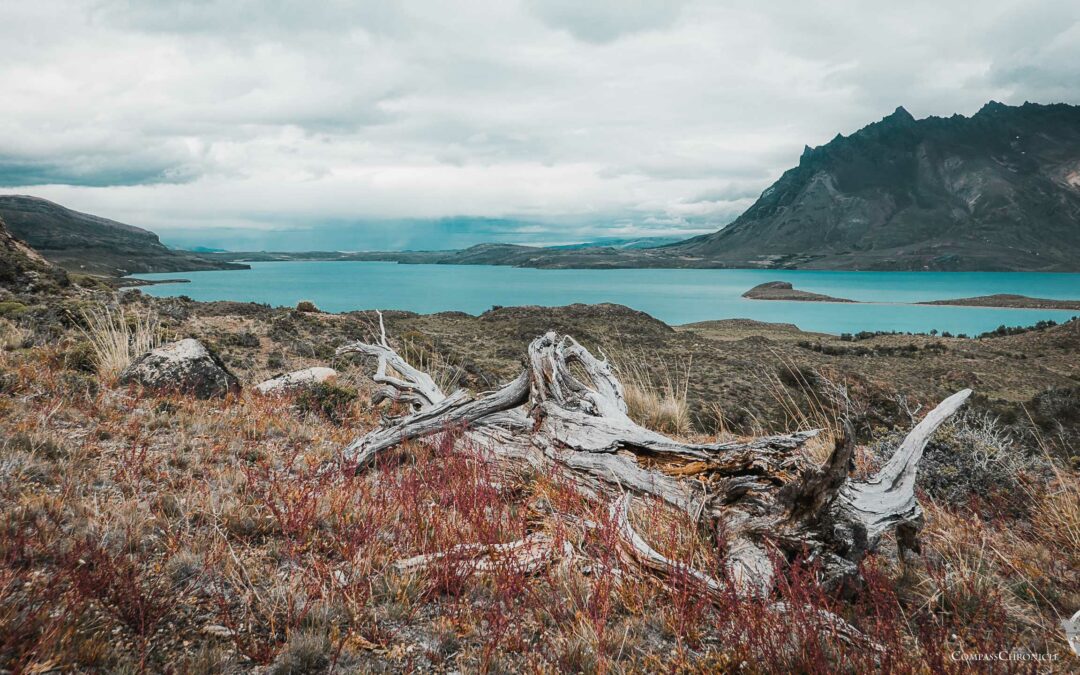 Patagonien Nationalpark Perito Moreno