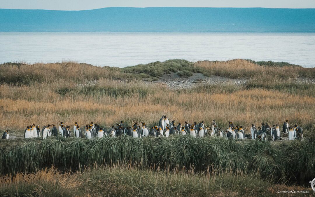 Tierra del Fuego